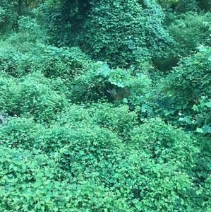 Meet your Posher, Sherri